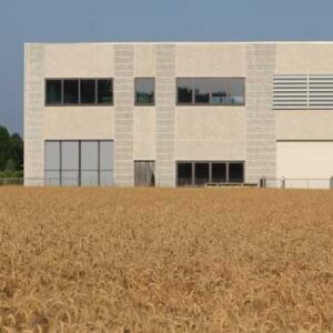Modernes Firmengebäude hinter einem Feld mit hohen Gräsern