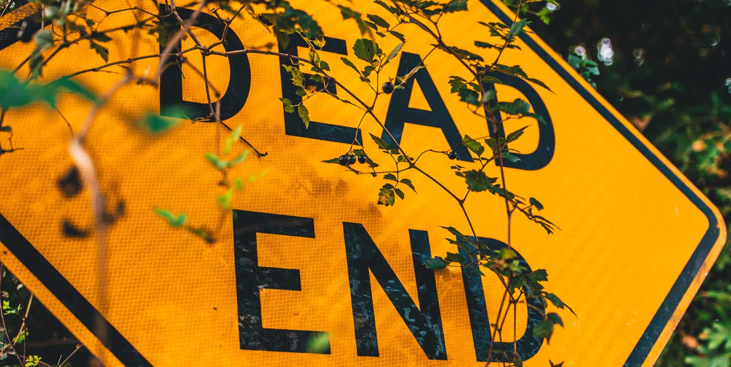 Gelbes Verkehrsschild mit der Aufschrift „Dead End“, teilweise von Zweigen und Blättern verdeckt