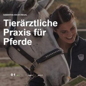Webseitenentwurf mit einer Tierärztin neben einem Pferd und der Überschrift Tierärztliche Praxis für Pferde