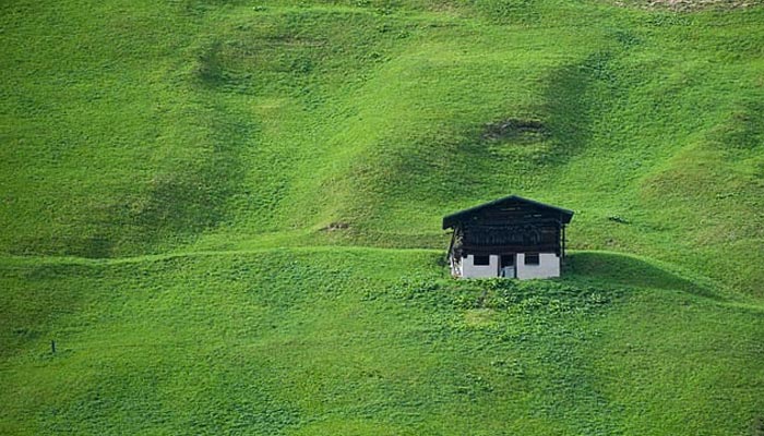Einzelnes kleines Holzhaus auf einer weitläufigen grünen Wiesenlandschaft