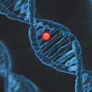 Blaue DNA-Doppelhelix vor dunklem Hintergrund mit einem leuchtenden roten Punkt zwischen den Strängen
