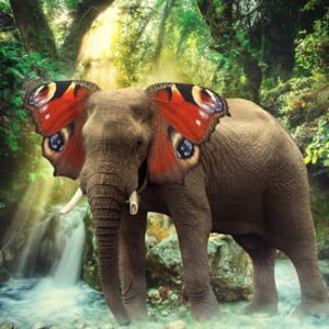 Elefant mit großen roten Schmetterlingsflügeln steht in einer grünen Waldlandschaft neben einem Wasserfall