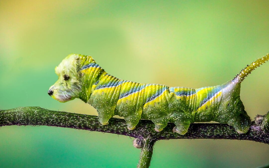 Neuro-Webdesign: Wie Wahrnehmung Gestaltung beeinflusst