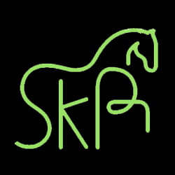 Logo von Medizin Pro Pferd mit stilisierter Pferdekontur